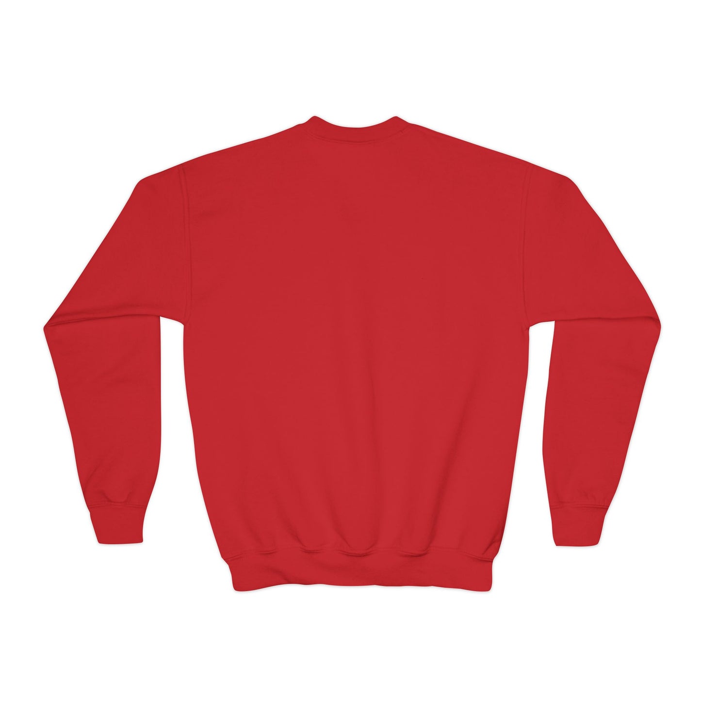 Youth Crewneck Sweatshirtš