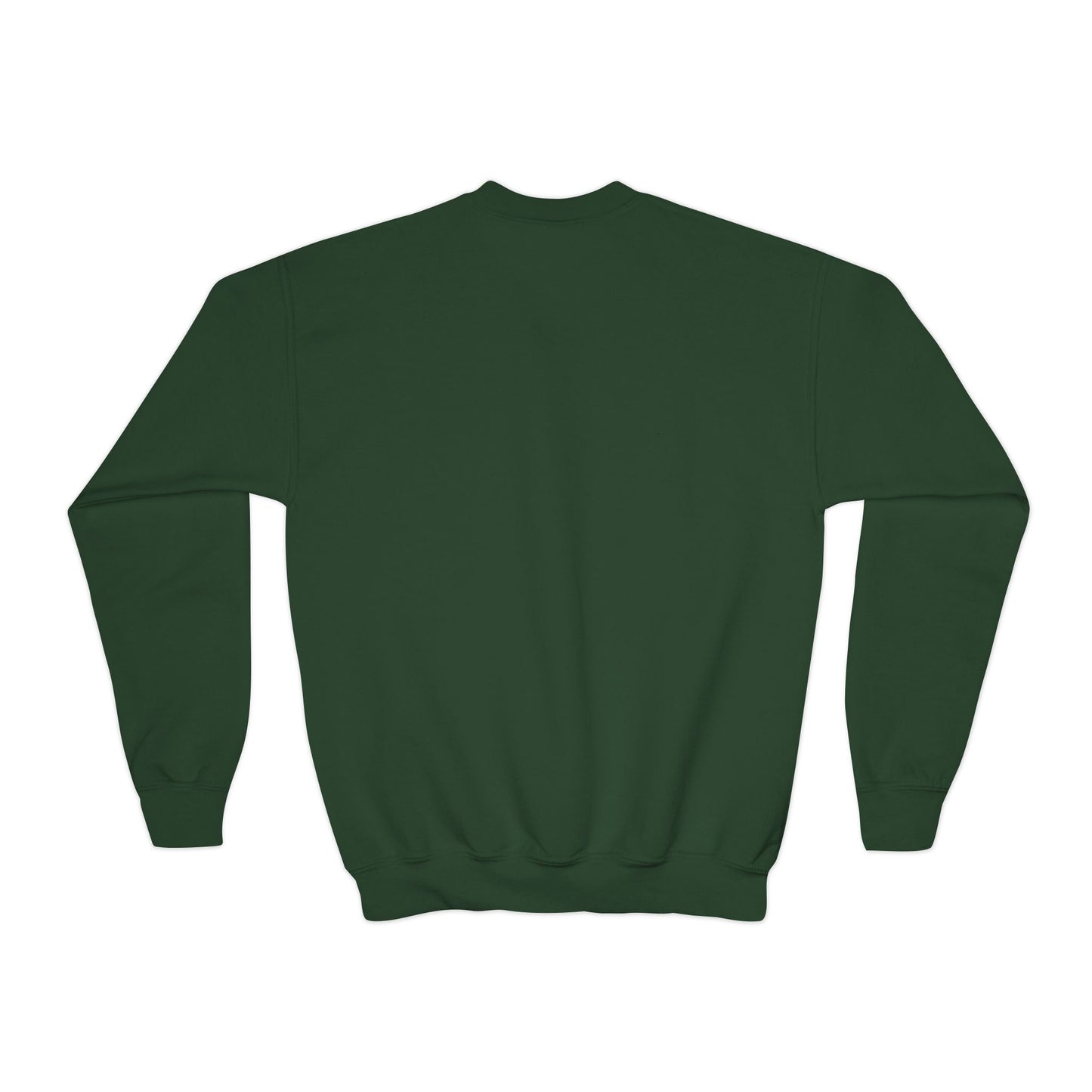 Youth Crewneck Sweatshirtš