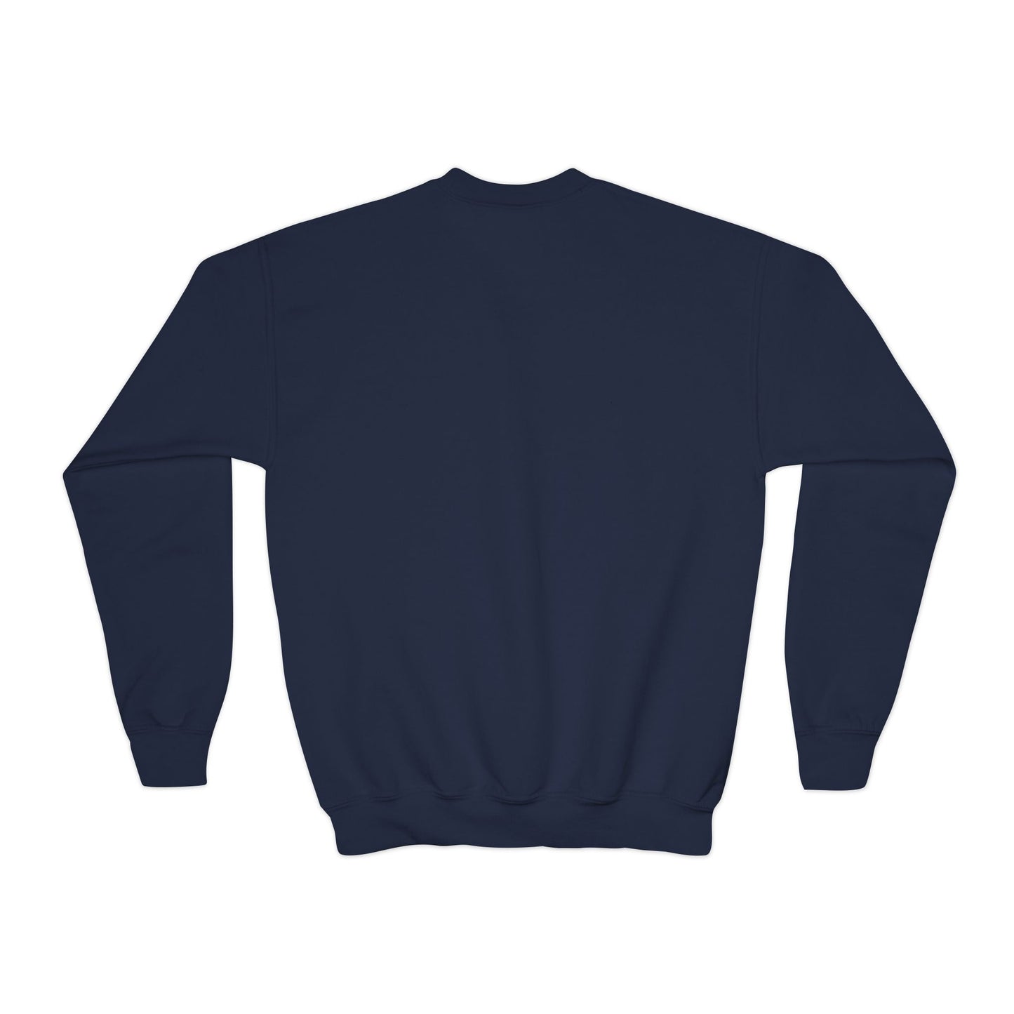 Youth Crewneck Sweatshirtš