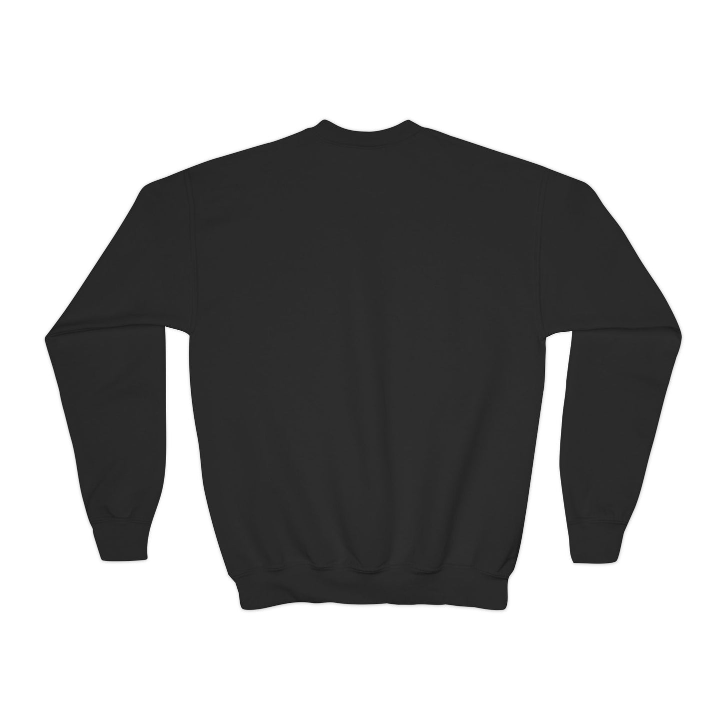 Youth Crewneck Sweatshirtš