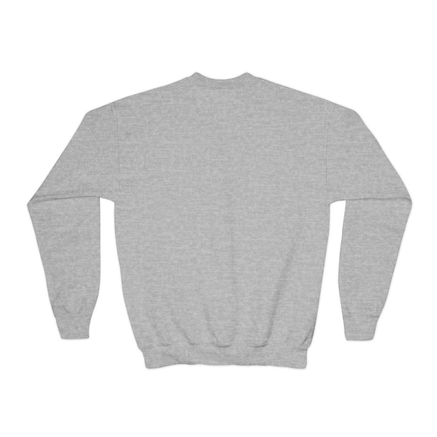 Colorful Graphic Youth Crewneck Sweatshirt, Fun Sweatshirt for Kids, Perfect Gift for Birthdays, Halloween, or Everyday Wear