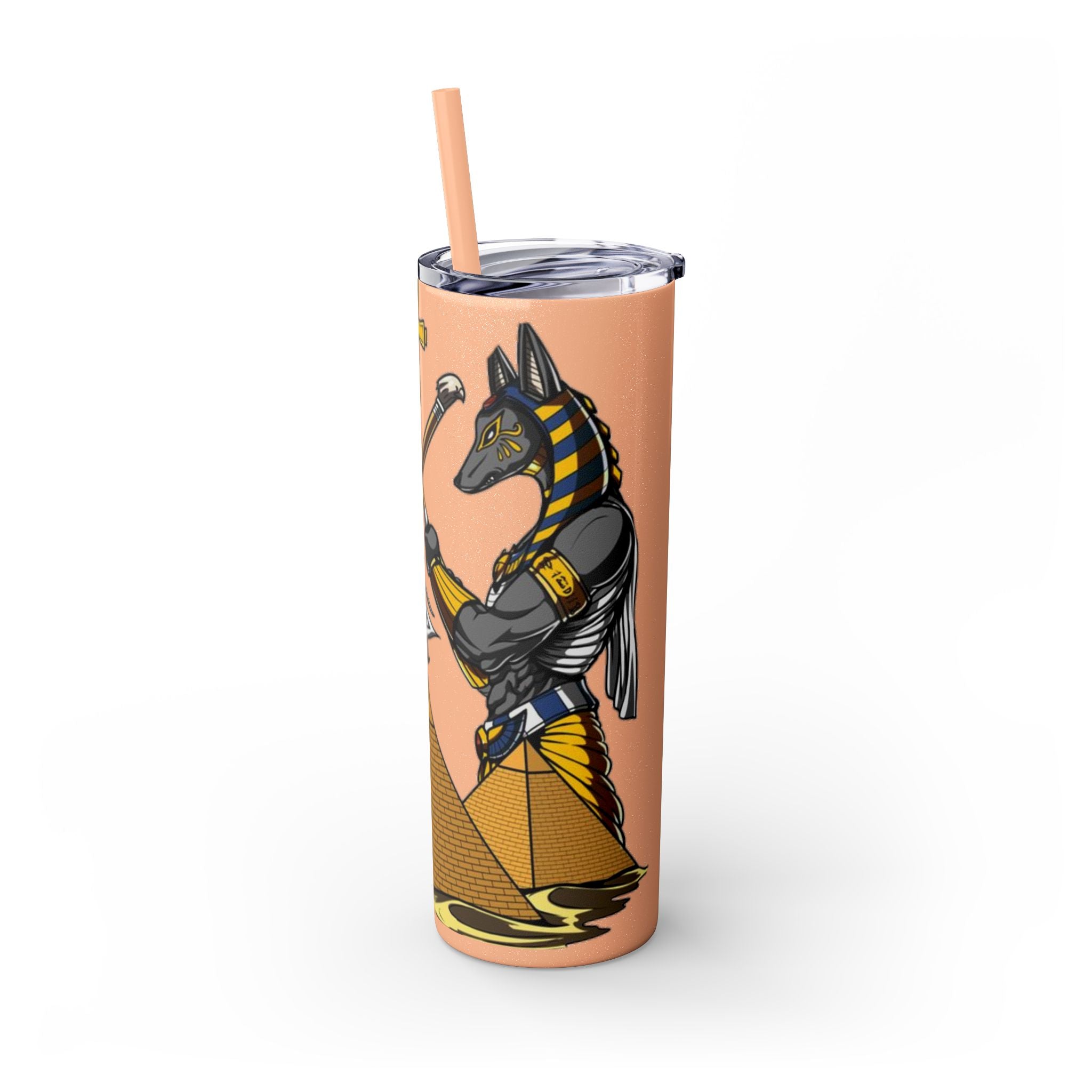 Skinny Tumbler with Straw, 20oz