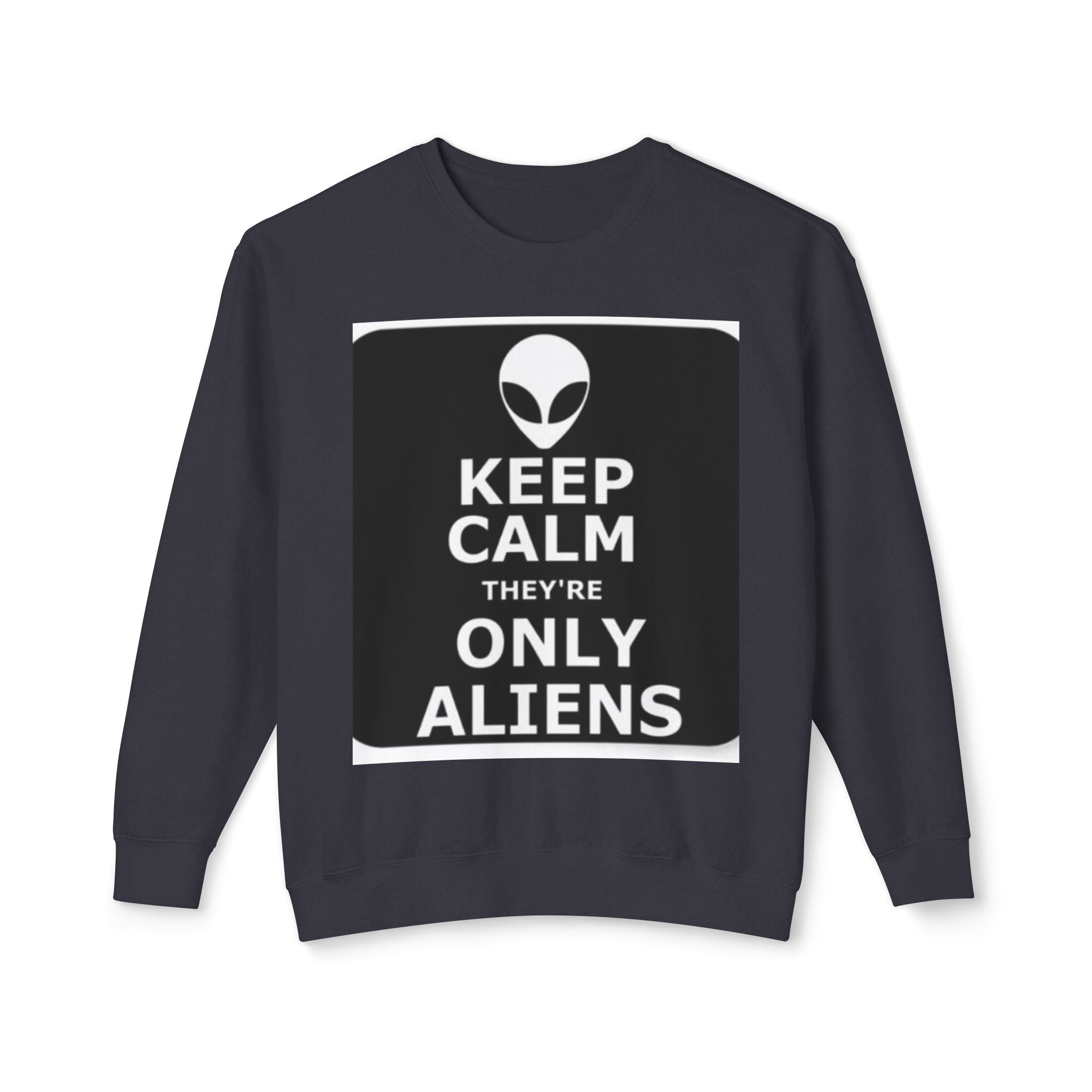 Aliens Lightweight Sweatshirt, UFO Crewneck Jumper, Sci-Fi Extraterrestrial Sweater, Space Print Top, Galaxy Pullover, Outer Space Clothing