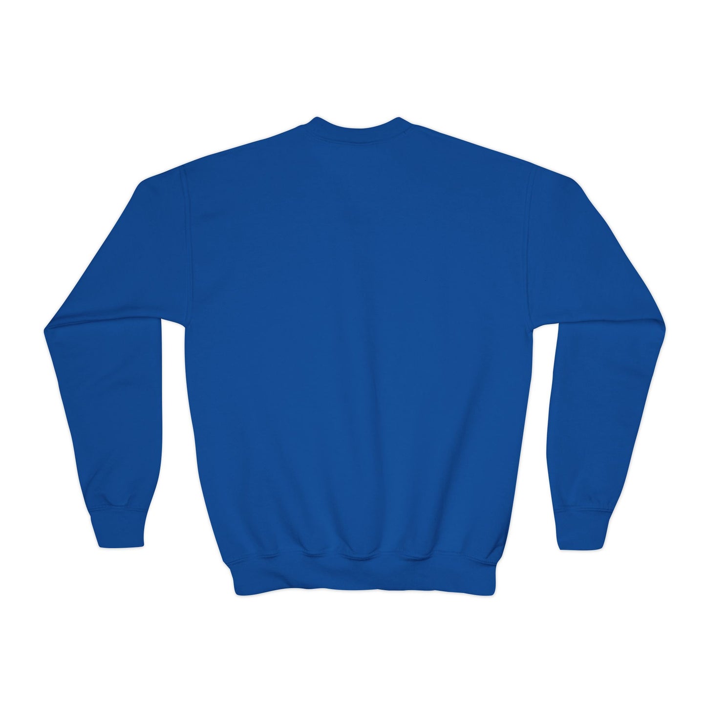 Youth Crewneck Sweatshirt👍
