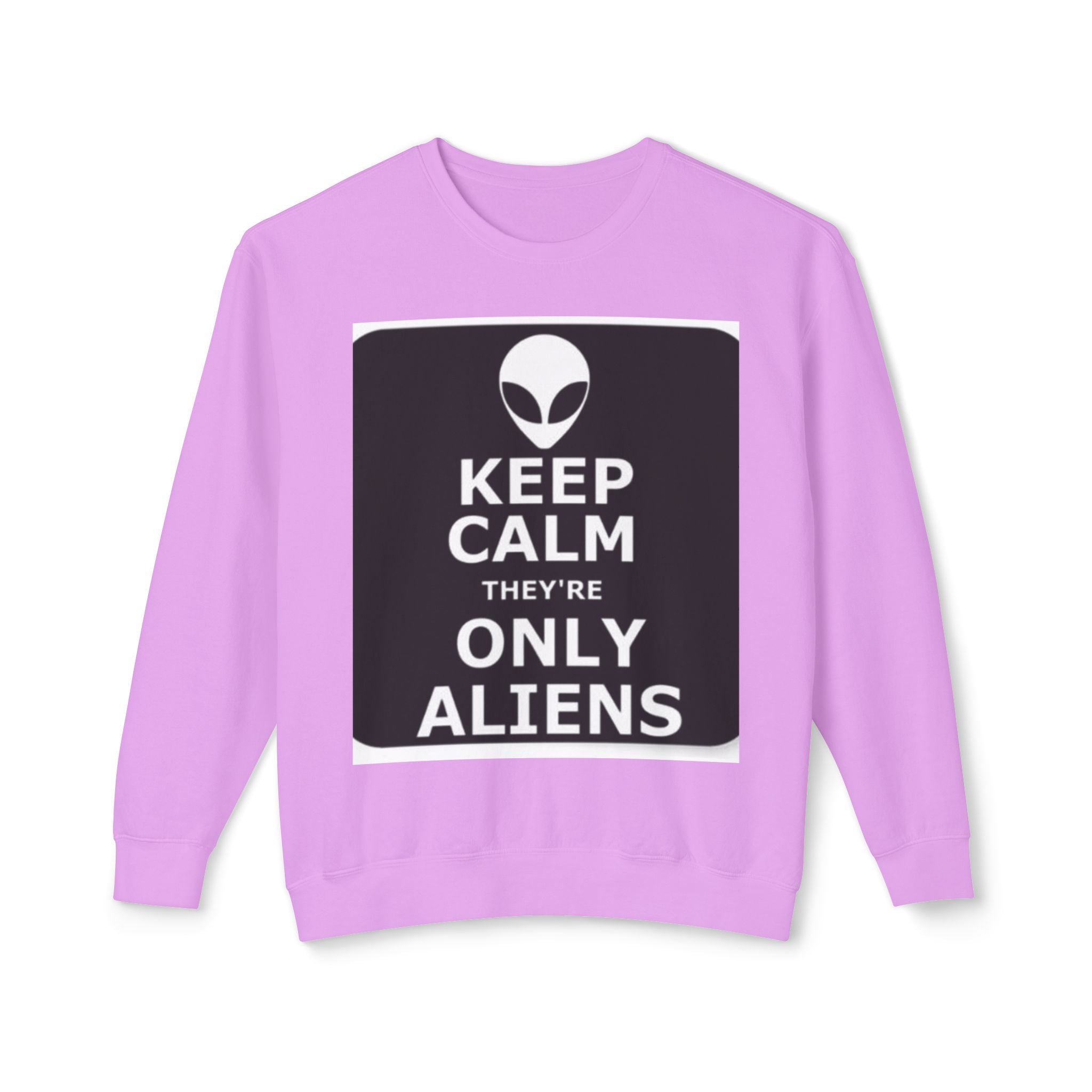 Aliens Lightweight Sweatshirt, UFO Crewneck Jumper, Sci-Fi Extraterrestrial Sweater, Space Print Top, Galaxy Pullover, Outer Space Clothing