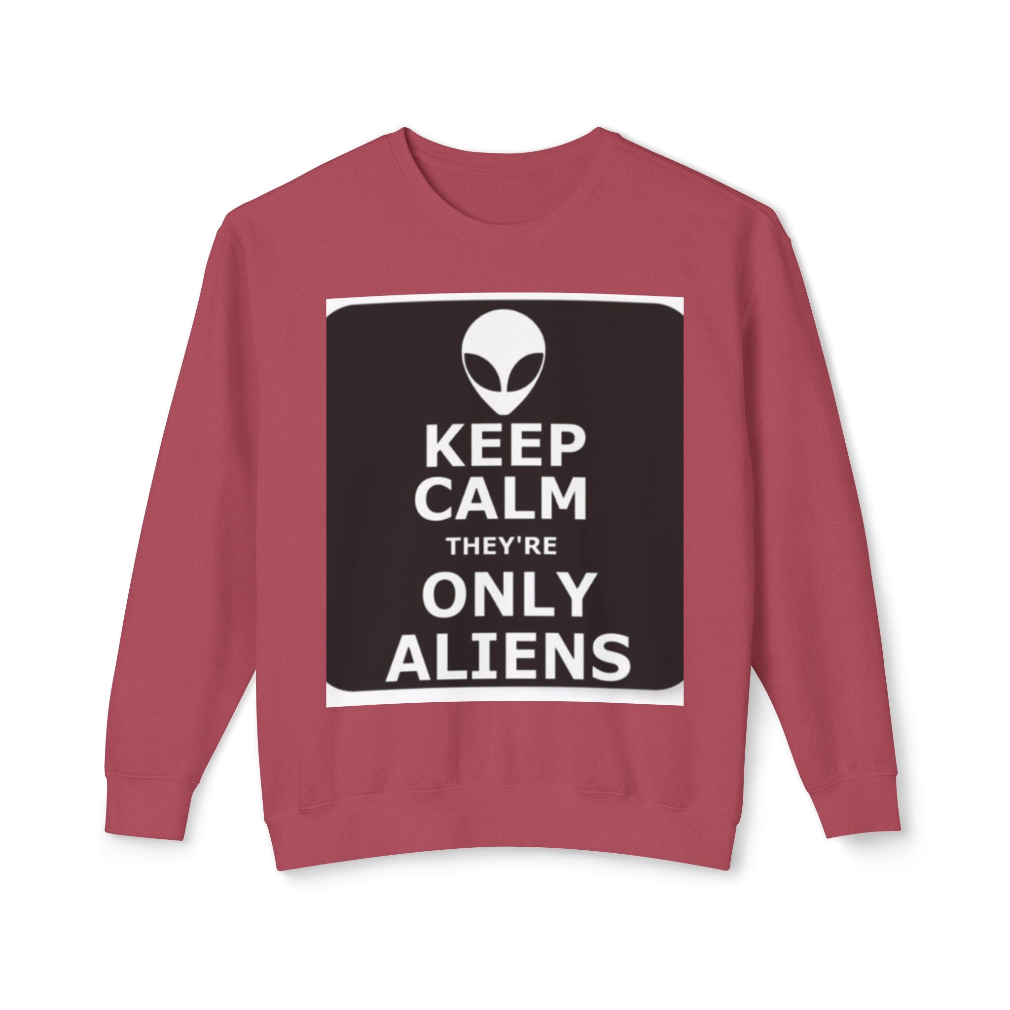 Aliens Lightweight Sweatshirt, UFO Crewneck Jumper, Sci-Fi Extraterrestrial Sweater, Space Print Top, Galaxy Pullover, Outer Space Clothing