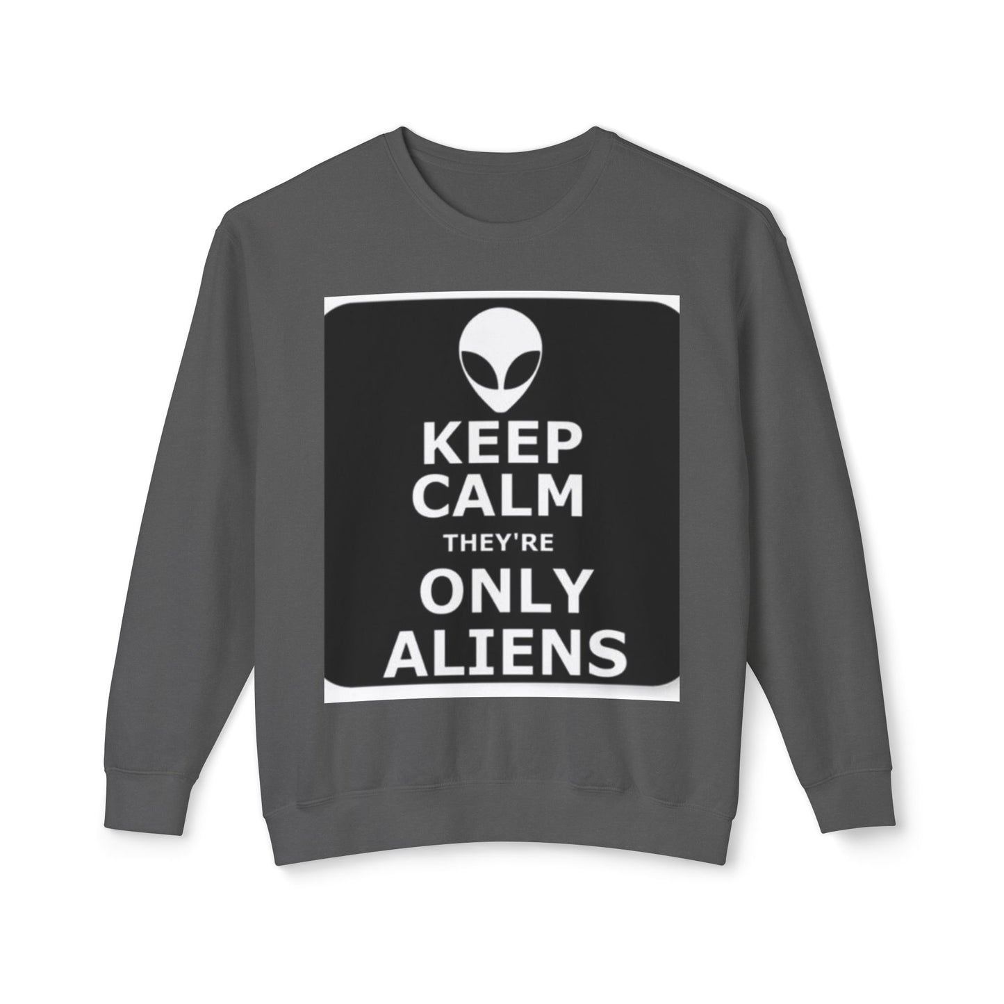 Aliens Lightweight Sweatshirt, UFO Crewneck Jumper, Sci-Fi Extraterrestrial Sweater, Space Print Top, Galaxy Pullover, Outer Space Clothing