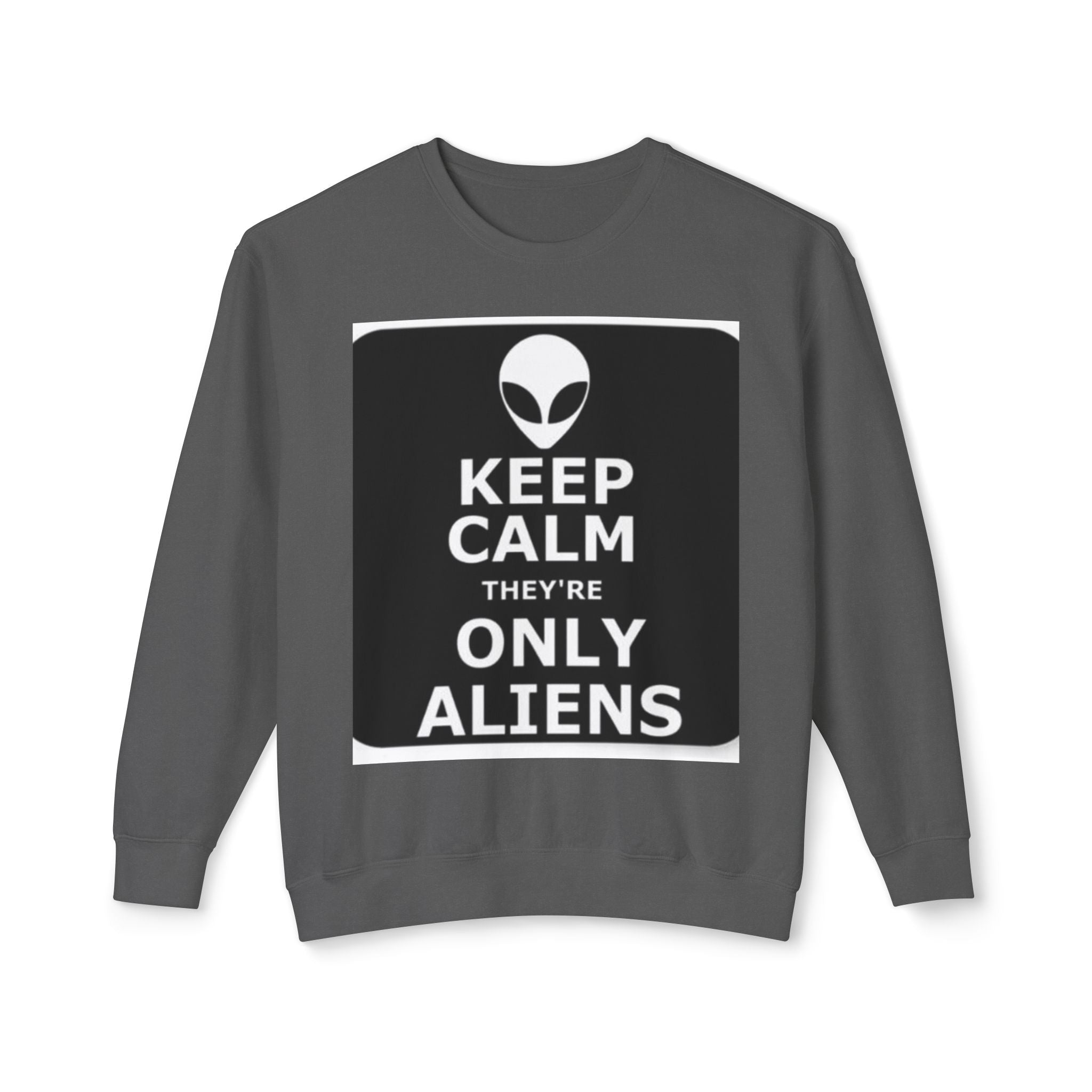 Aliens Lightweight Sweatshirt, UFO Crewneck Jumper, Sci-Fi Extraterrestrial Sweater, Space Print Top, Galaxy Pullover, Outer Space Clothing