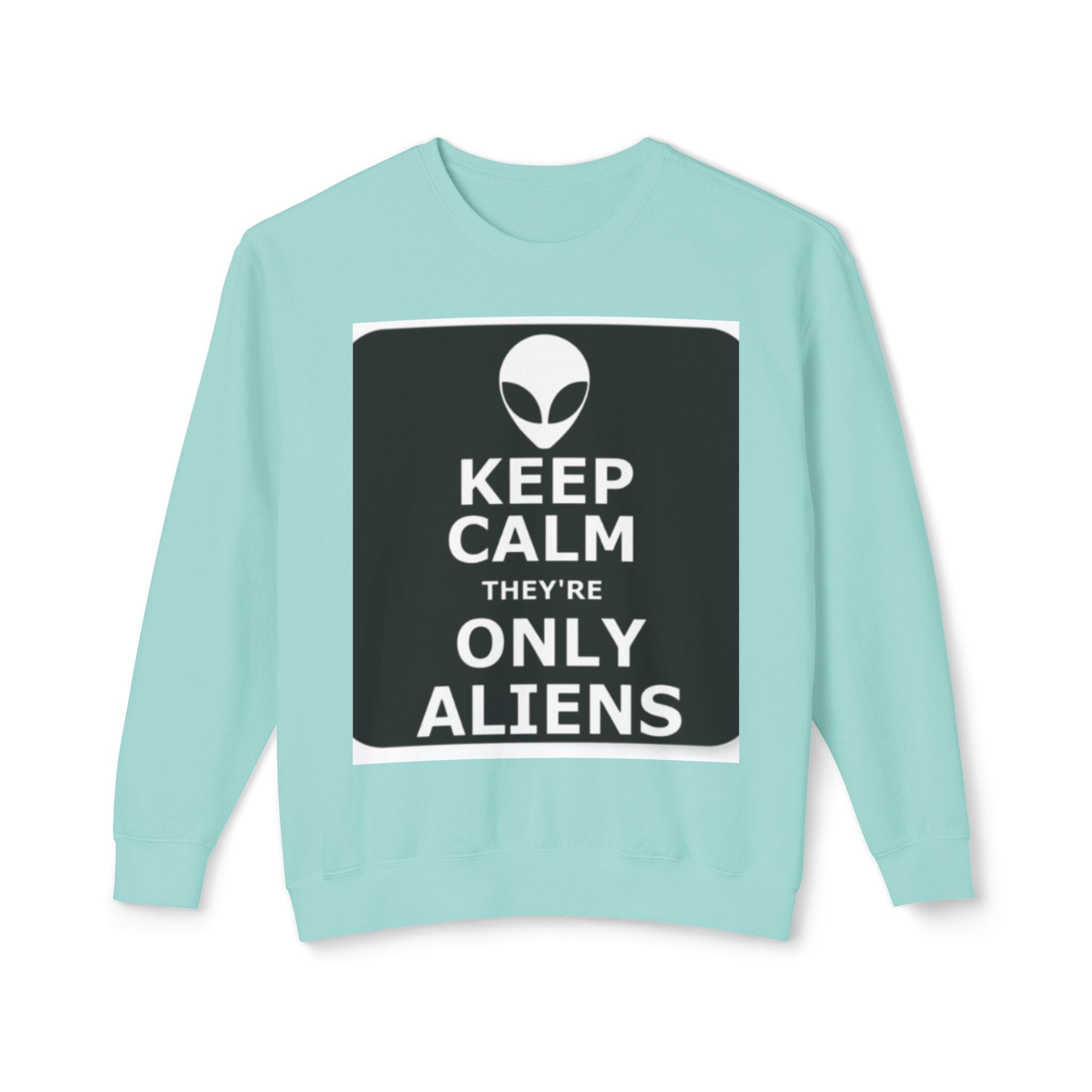 Aliens Lightweight Sweatshirt, UFO Crewneck Jumper, Sci-Fi Extraterrestrial Sweater, Space Print Top, Galaxy Pullover, Outer Space Clothing