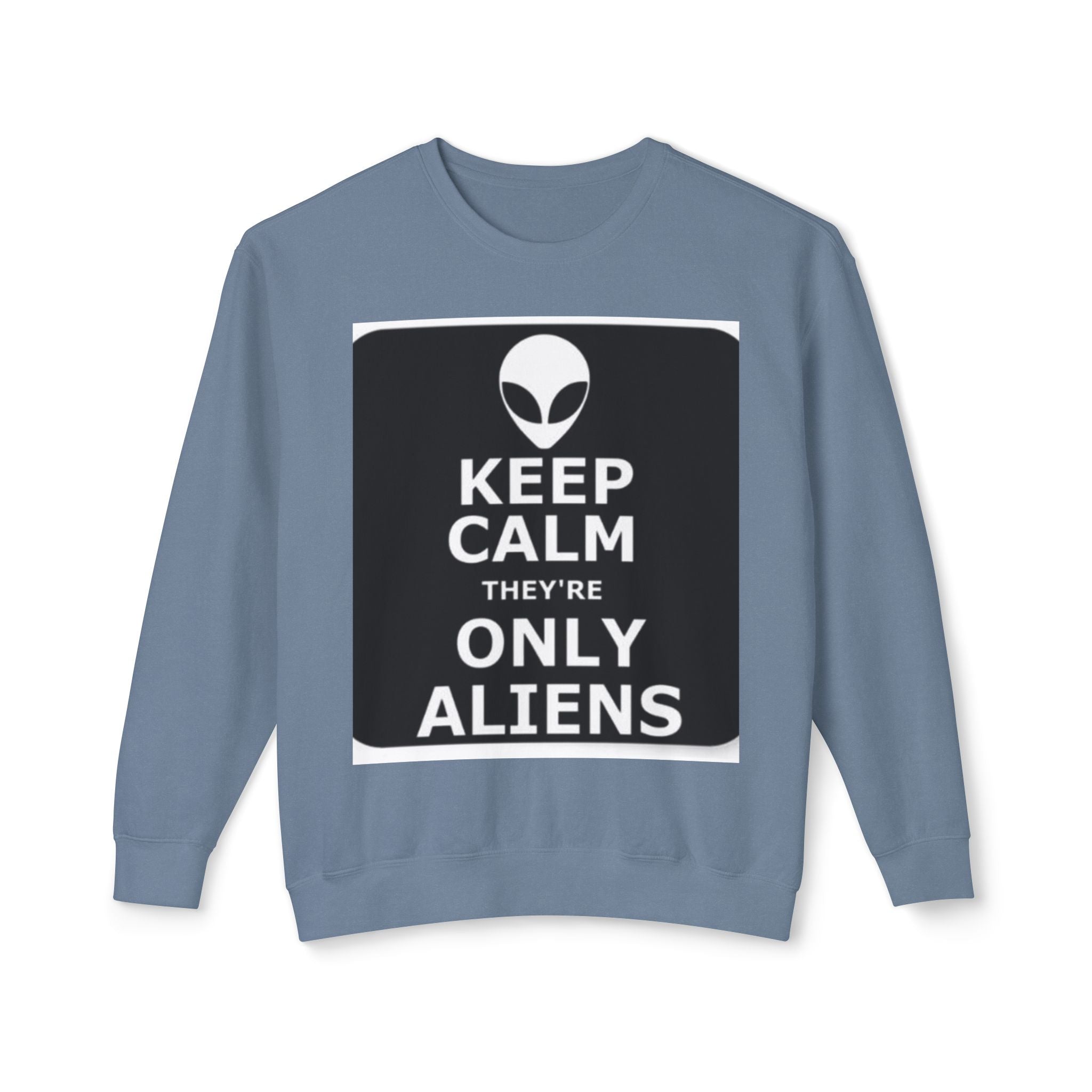 Aliens Lightweight Sweatshirt, UFO Crewneck Jumper, Sci-Fi Extraterrestrial Sweater, Space Print Top, Galaxy Pullover, Outer Space Clothing