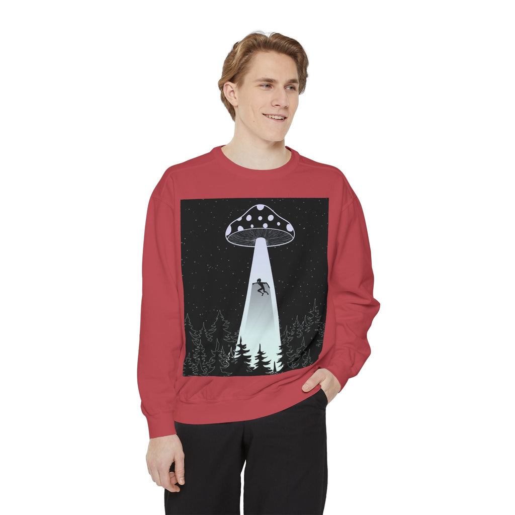 Alien Abduction Sweatshirt, Cozy Unisex Crewneck, UFO Design, Perfect for Sci-Fi Lovers, Great Gift for Birthdays, Casual Wear, Space