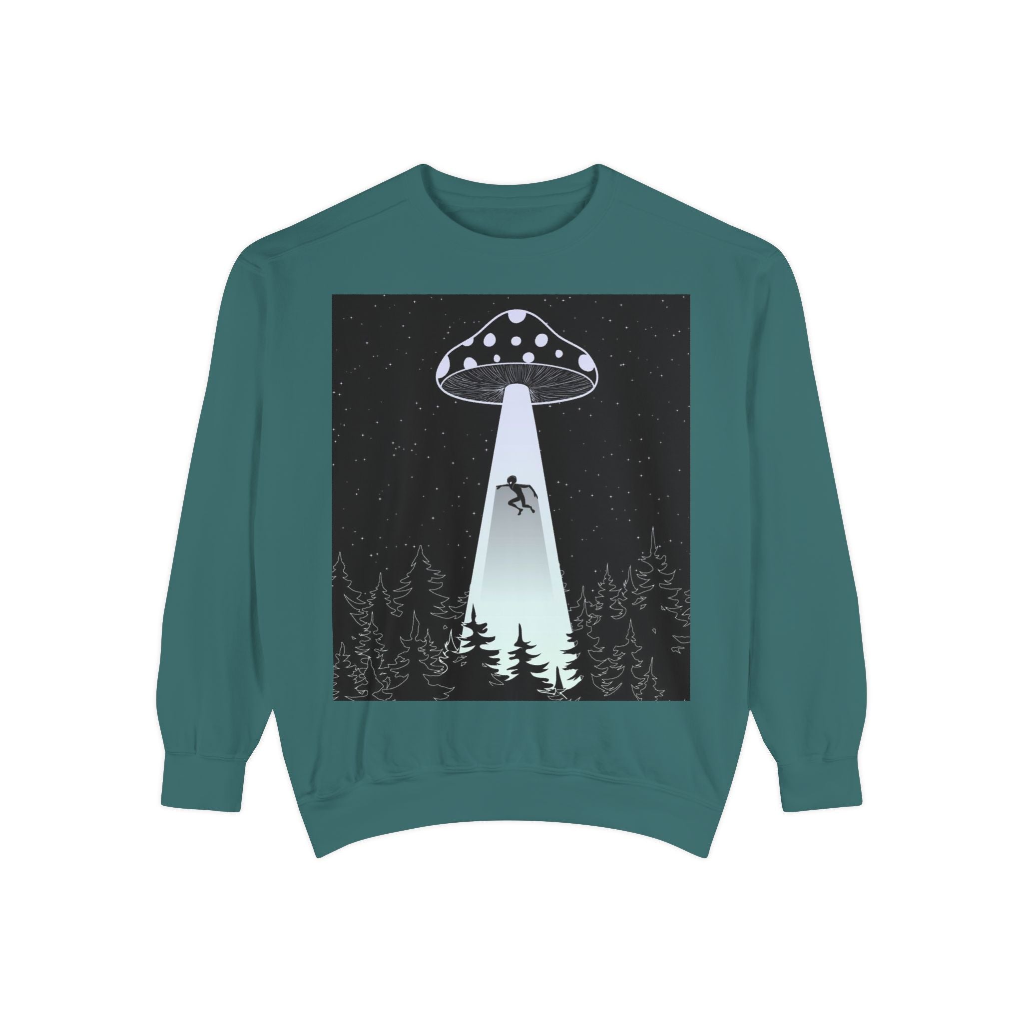 Alien Abduction Sweatshirt, Cozy Unisex Crewneck, UFO Design, Perfect for Sci-Fi Lovers, Great Gift for Birthdays, Casual Wear, Space
