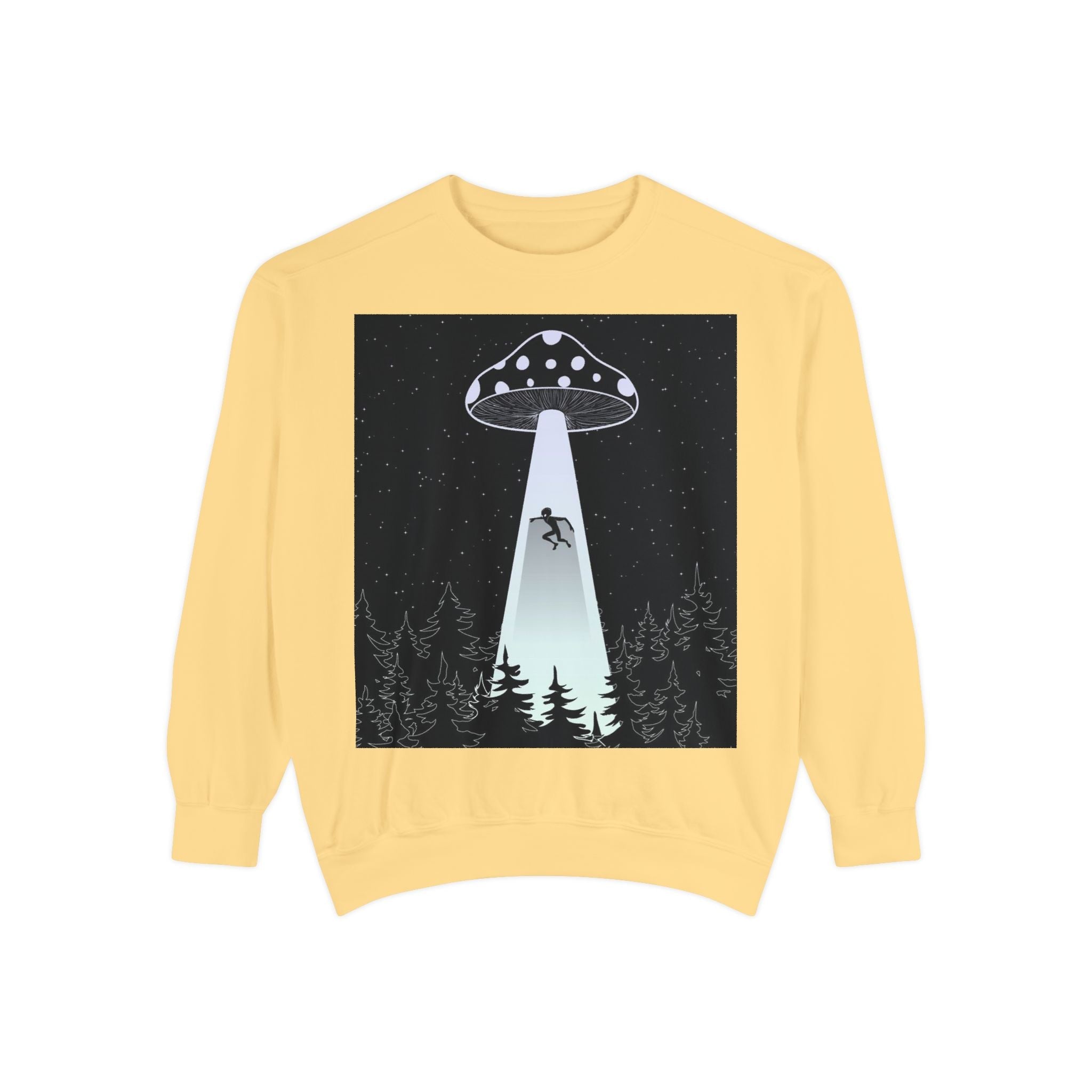 Alien Abduction Sweatshirt, Cozy Unisex Crewneck, UFO Design, Perfect for Sci-Fi Lovers, Great Gift for Birthdays, Casual Wear, Space