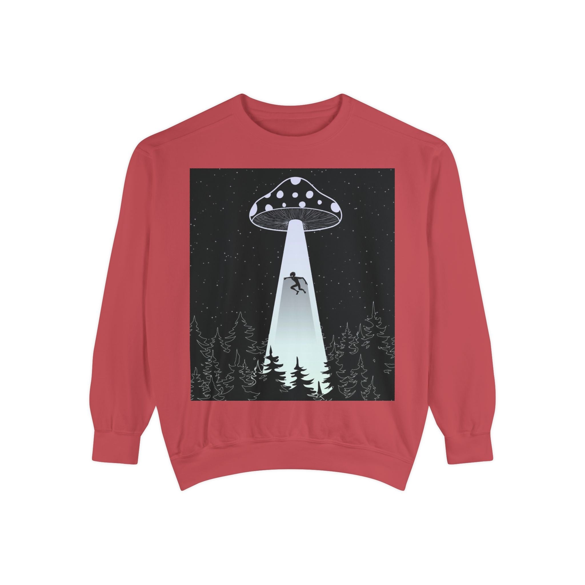 Alien Abduction Sweatshirt, Cozy Unisex Crewneck, UFO Design, Perfect for Sci-Fi Lovers, Great Gift for Birthdays, Casual Wear, Space