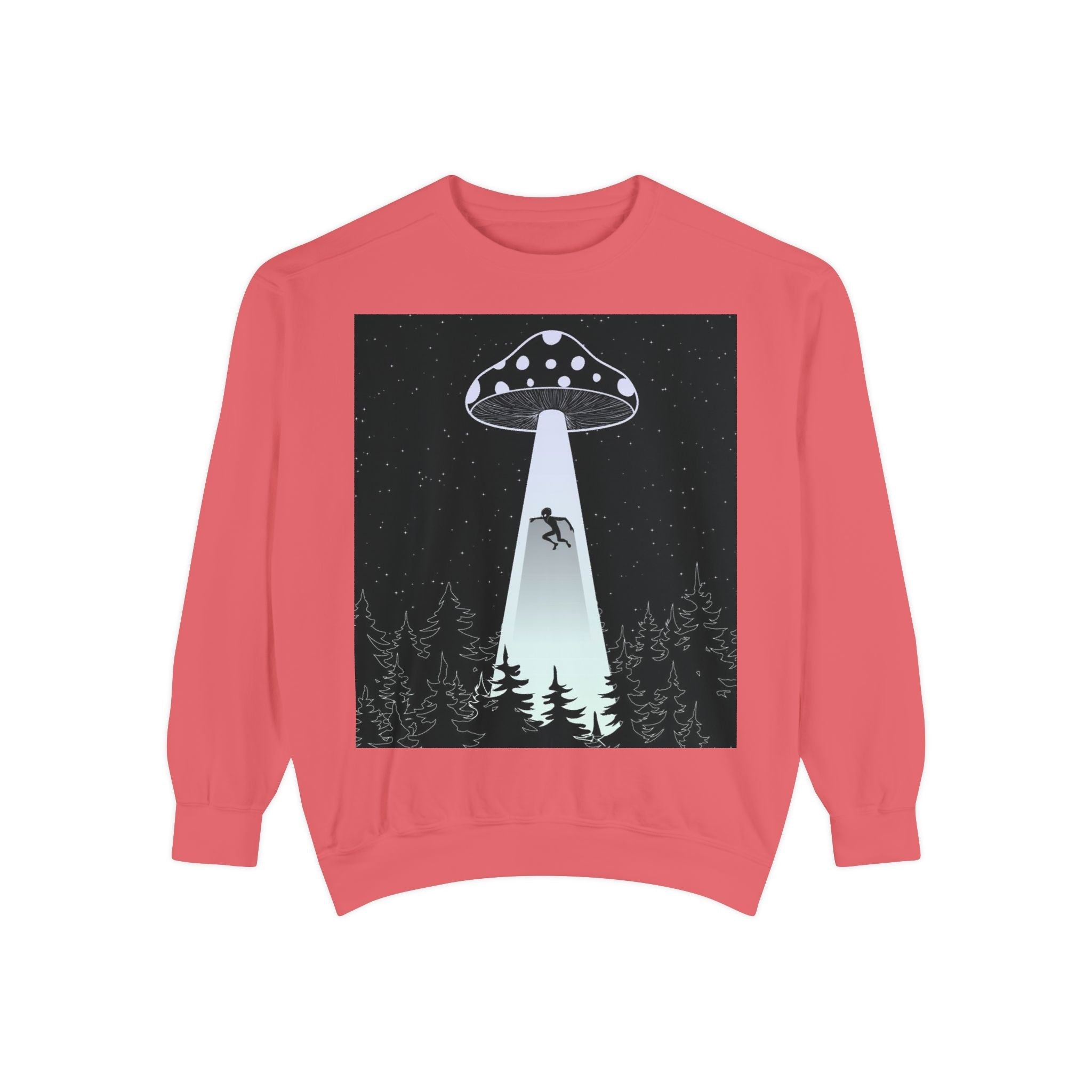 Alien Abduction Sweatshirt, Cozy Unisex Crewneck, UFO Design, Perfect for Sci-Fi Lovers, Great Gift for Birthdays, Casual Wear, Space