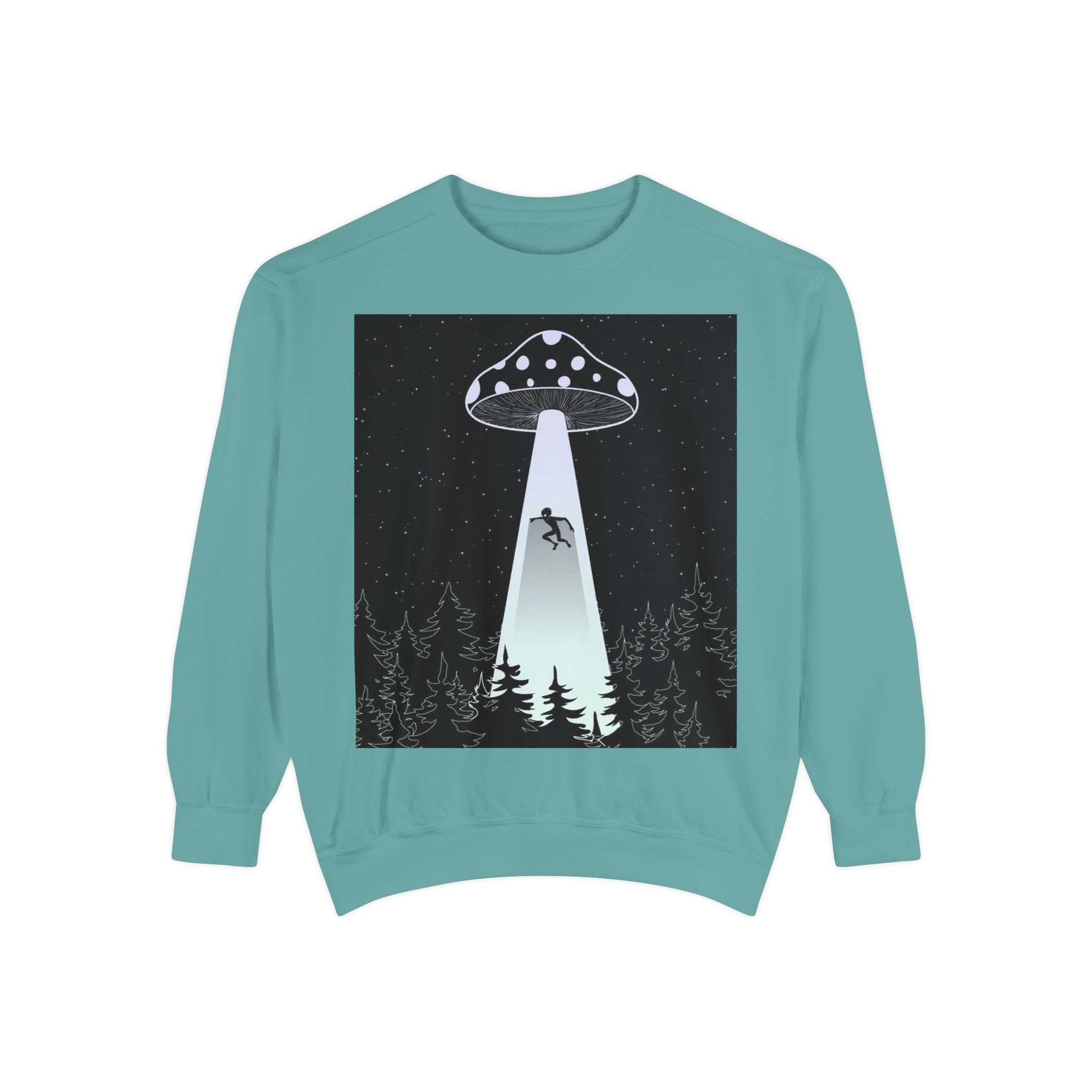 Alien Abduction Sweatshirt, Cozy Unisex Crewneck, UFO Design, Perfect for Sci-Fi Lovers, Great Gift for Birthdays, Casual Wear, Space
