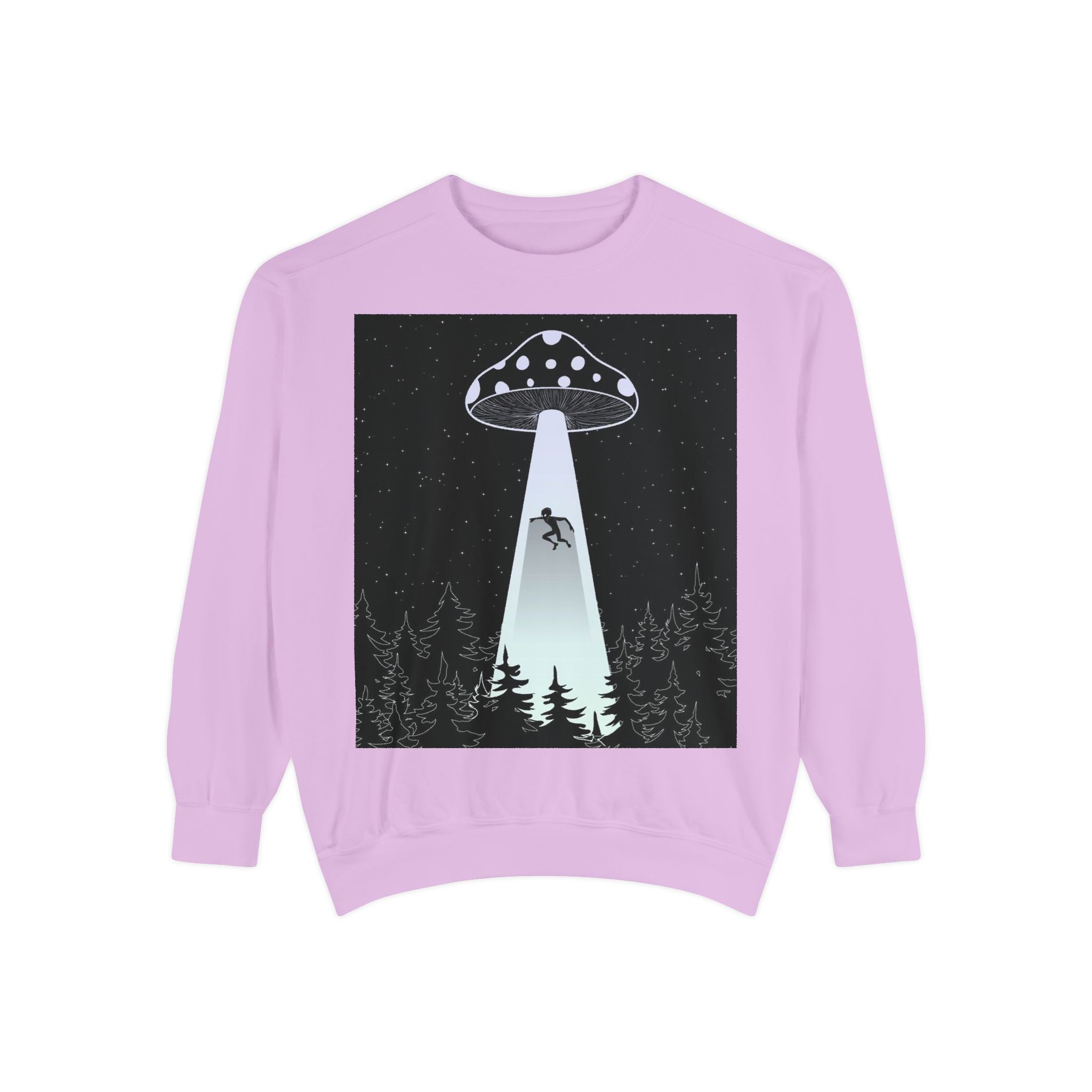 Alien Abduction Sweatshirt, Cozy Unisex Crewneck, UFO Design, Perfect for Sci-Fi Lovers, Great Gift for Birthdays, Casual Wear, Space