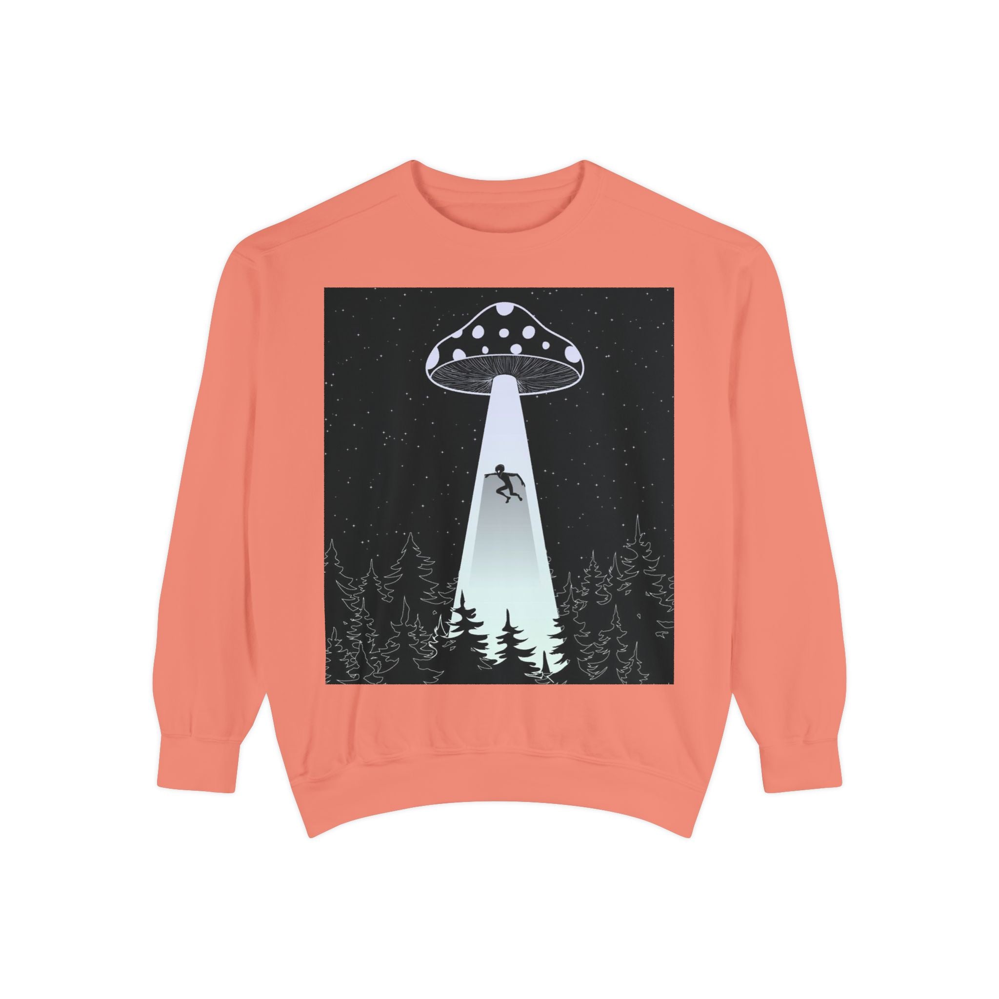 Alien Abduction Sweatshirt, Cozy Unisex Crewneck, UFO Design, Perfect for Sci-Fi Lovers, Great Gift for Birthdays, Casual Wear, Space