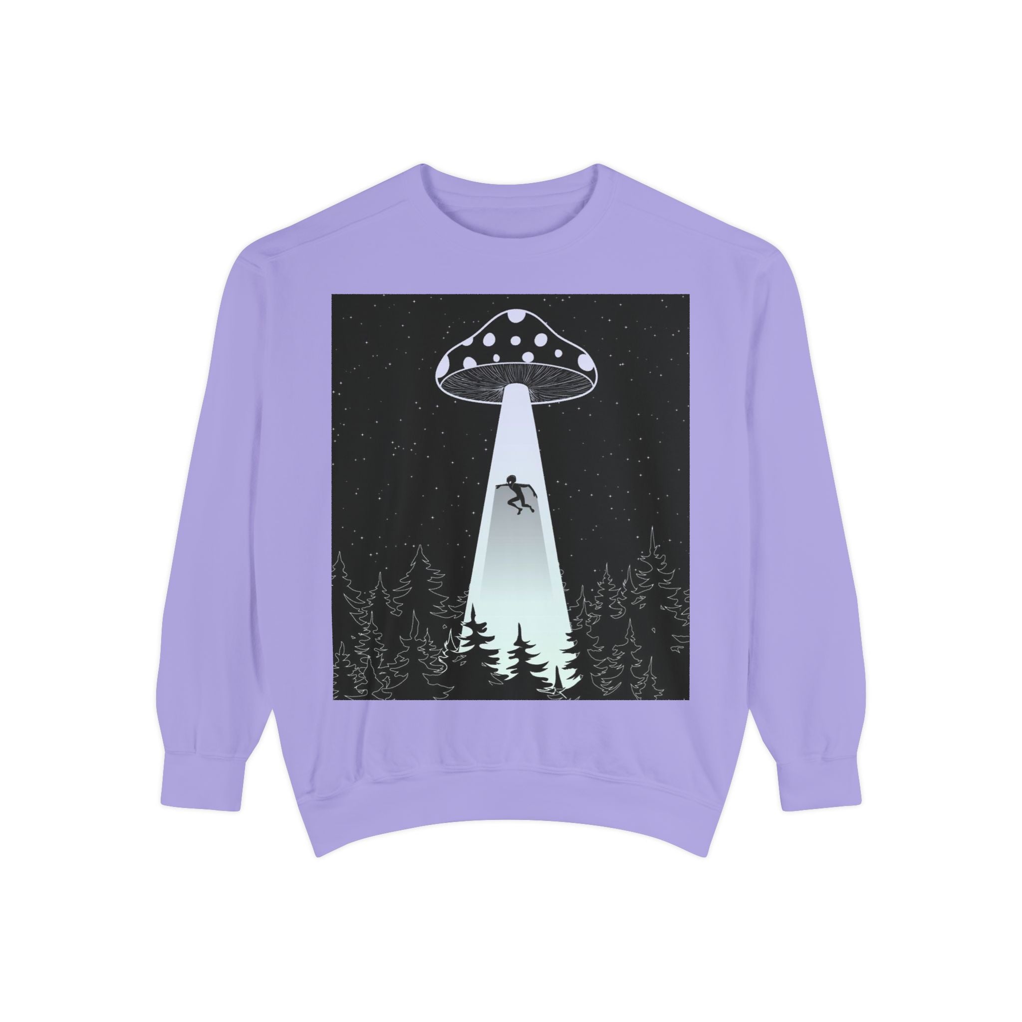 Alien Abduction Sweatshirt, Cozy Unisex Crewneck, UFO Design, Perfect for Sci-Fi Lovers, Great Gift for Birthdays, Casual Wear, Space