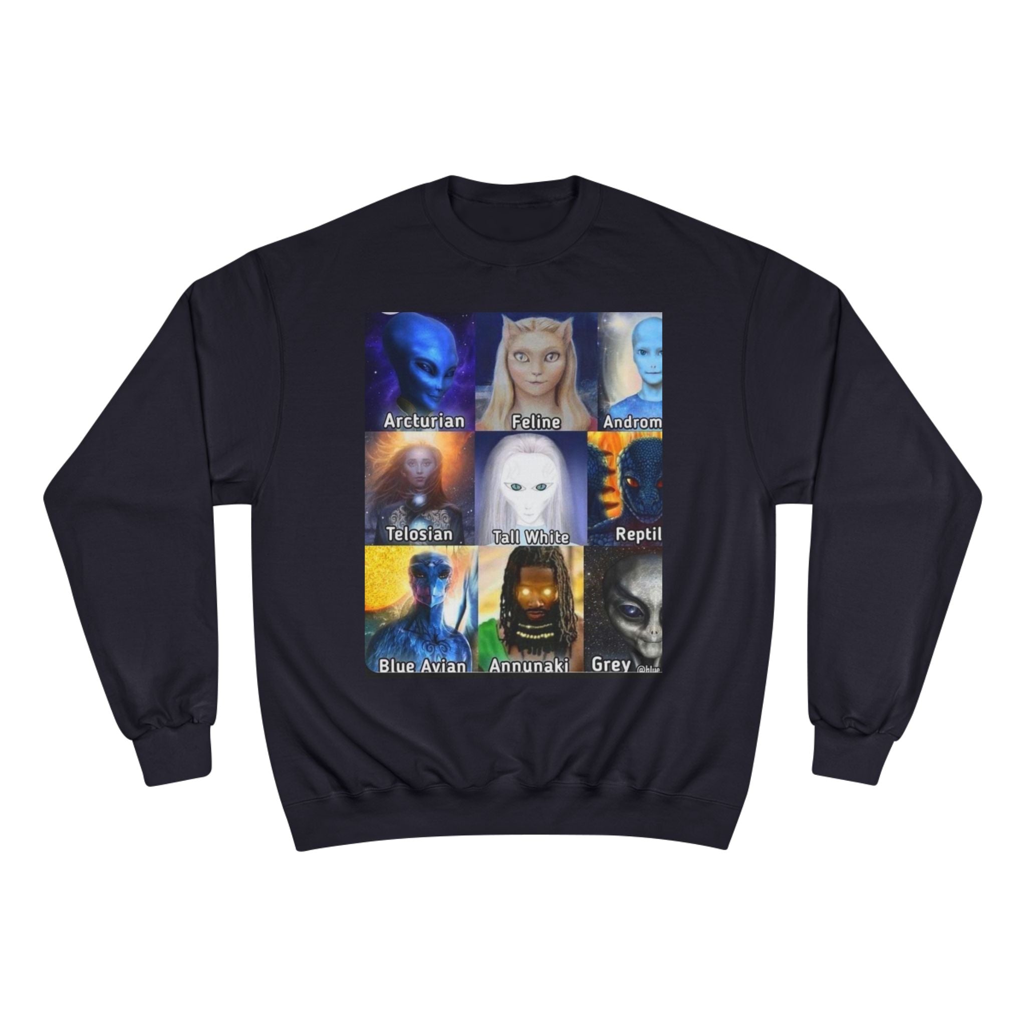 Alien Species Champion Sweatshirt - Unisex UFO Graphic Apparel